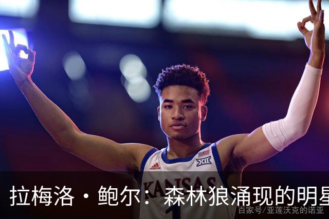 拉梅洛·鲍尔：森林狼涌现的明星与备受喜爱的球队